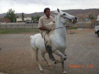 CIMG0390.JPG