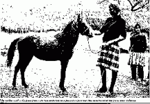 image13a.gif