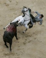 horseboy1.jpg