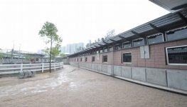 Olympics stable1.jpg