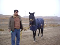 IMGP0122.JPG