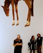 taxidermy.jpg