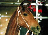 phar-lap2-full.jpg