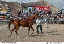 tabriz3.jpg
