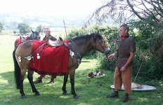 cavalry2.jpg