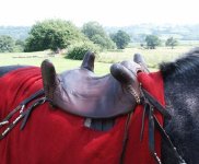 saddle2.jpg
