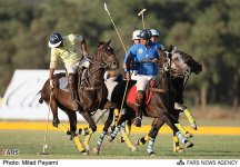 polo-daheshpour2.jpg