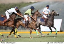 polo-daheshpour3.jpg