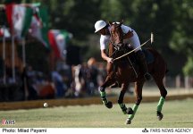 polo-daheshpour7.jpg