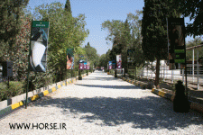 HORSESHOW2.gif