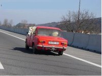 funny_ferrari_picture_horse_red_car_europe.jpg
