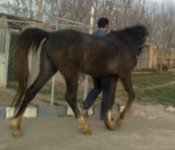 20121207971g.jpg