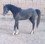 20121207982h.jpg