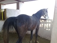 20121207969.jpg