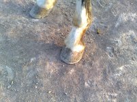 20121207994.jpg