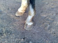 20121207989.jpg