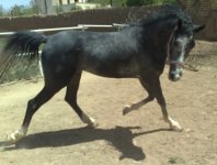 201301231324.jpg