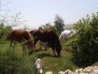 20130329_120116.jpg