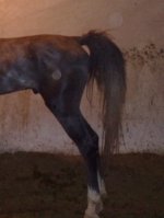 201304131599.jpg