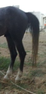 201305061698.jpg
