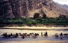 کوچ قشقایی.jpg