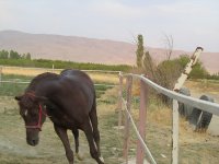 IMG_3524 - Copy.JPG