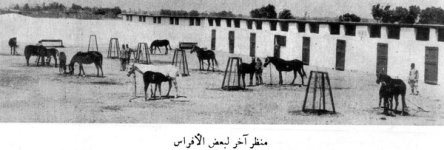 img046666666.jpg