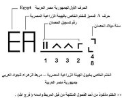 داغ مصری.jpg