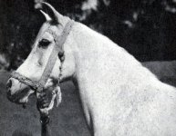 راضیه.jpg
