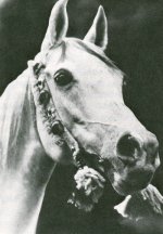 محروسه.jpg