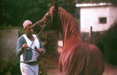 مسک.jpg