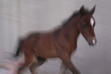 IMG_3132.jpg