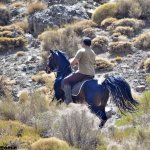 سیحون-نسمان و ست&#.jpg