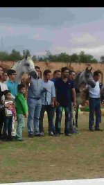 IMG-20150120-WA0007.jpg
