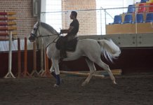 IMG_8995.jpg