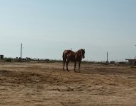 2015-10-24 17.21.00.jpg