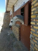 445520181_249276.jpg
