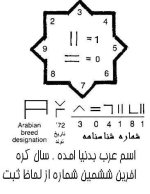 120.JPG