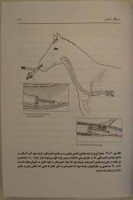 S1054562.jpg