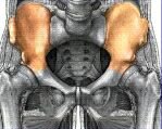 Ilium.jpg
