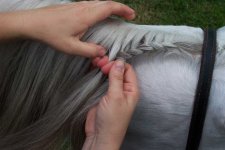 French braid1.jpg