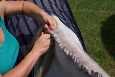 French braid5.jpg