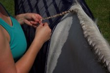French braid9.jpg