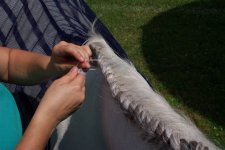 French braid10.jpg