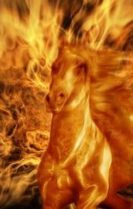 fire-horse.jpg