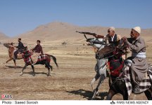 lorestan horse1.jpg