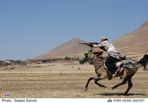 lorestan horse7.jpg