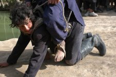 080804115218Two-Legged Horse (22).jpg