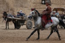 080804114414Two-Legged Horse (18).jpg