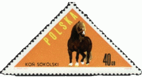 polsokolski.gif